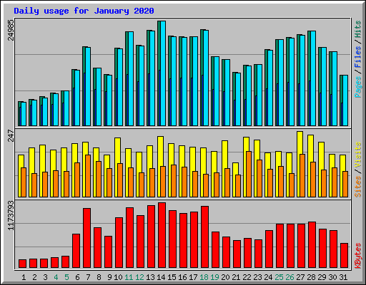 Daily usage for January 2020