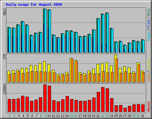 Daily usage for August 2020