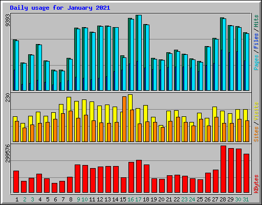 Daily usage for January 2021