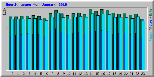 Hourly usage for January 2019