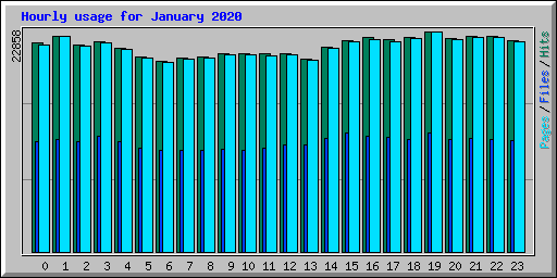 Hourly usage for January 2020