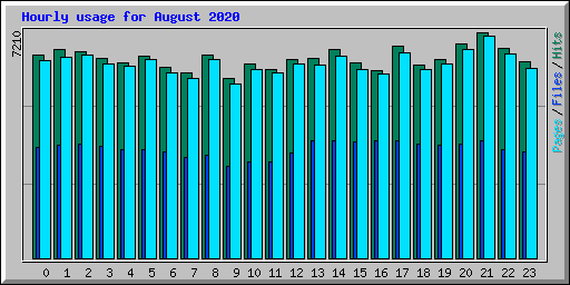 Hourly usage for August 2020