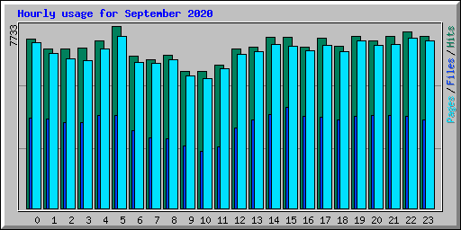 Hourly usage for September 2020
