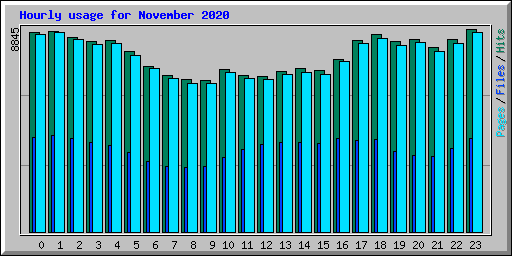 Hourly usage for November 2020