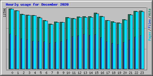 Hourly usage for December 2020