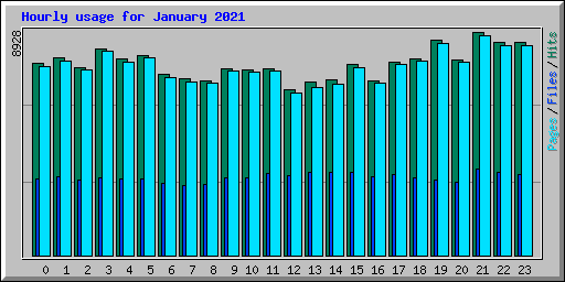 Hourly usage for January 2021