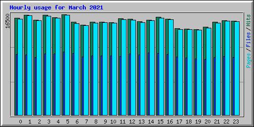 Hourly usage for March 2021