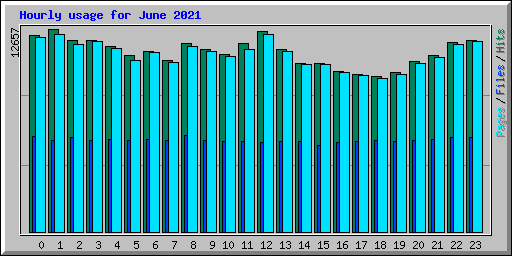 Hourly usage for June 2021