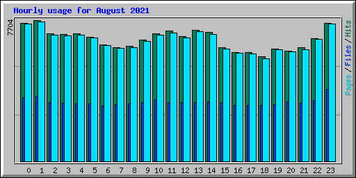Hourly usage for August 2021